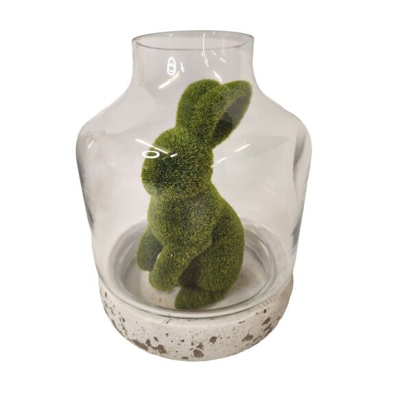 Glass Terrarium with White Concrete Base Modern Rustic Home Decor 8 Inches Tall - Picture 2 of 14